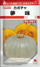 楽天市場 かぼちゃ 種 白皮の通販 楽天市場 かぼちゃ 種 白皮の通販