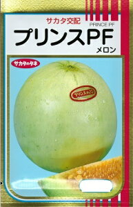 ؎q uvXPFv@100iTJ^̃^lj@y݁z߂ ǂ񂱕aϐ 銄aR