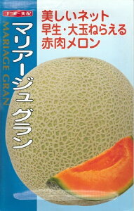 ؎q ԓlbgu}A[W Ov@5^30^50^100iigcjy݁z }A[WO [Z }NE  含 