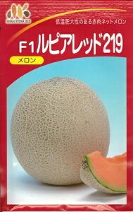 ylCiz؎q ԓlbgusAbh219v 8^100iB݂ǁjy݁z [Z }NE ቷ含 ϕa