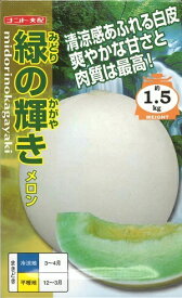 野菜種子　メロン種子　『ナント種苗』　緑の輝き6粒詰　/　30粒詰　/　50粒詰　/　100粒詰　【送料込み】