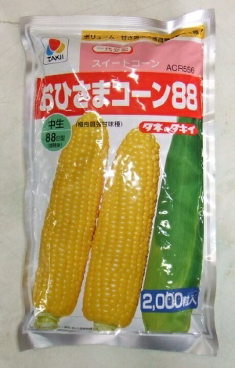 楽天市場】野菜種子 スイートコーン「おひさまコーン88」40粒／200粒 