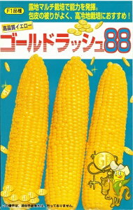 y݌Ɍz؎q gERVuS[hbV88v@23ml^200^500^2,000iTJ^̃^lj@y݁z