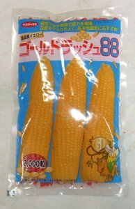 ��؎�q �g�E�����R�V�u�S�[���h���b�V��88�v23ml�i��55���j�^200���^500���^2,000���i�T�J�^�̃^�l�j�y�������݁z �Ƃ����낱�� �X�C�[�g�R�[�� �����C�G���[�i��