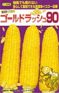 【大人気品種】野菜種子 スイートコーン「ゴールドラッシュ90」 23ml（約55粒）／200粒／500粒／2,000粒…