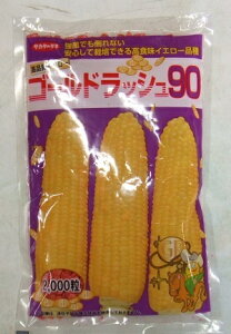 �y��l�C�E�݌Ɍ���z��؎�q �X�C�[�g�R�[���u�S�[���h���b�V��90�v 23ml�i��55���j�^200���^500���^2,000���i�T�J�^�̃^�l�j�y�������݁z �Ƃ����낱�� �g�E�����R�V �����x �Ϗ��� �ƒ��