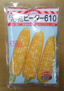 ؎q gERVus[^[610v@23ml^200^500^2,000iTJ^̃^lj@y݁z