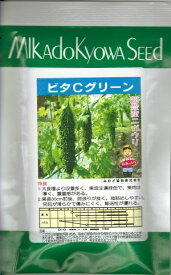 野菜種子　ニガウリ種　『　みかど協和　』　ビタCグリーン　100粒袋詰　【　送料込み　】