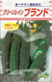 野菜種子 中長ニガウリ「ブランド」10粒／50粒／100粒／2,000粒（松永種苗）【送料込み】 グリーンレイシ 苦瓜 にがうり ゴーヤ 野菜 種 家庭菜園 園芸 農業