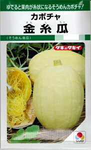 ؎q \EJ{`uZv@16^100^500i^LCcj@y݁z 񂵂 LVE ߂Z ڂ