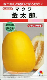 野菜種子　マクワウリ種　『　タキイ種苗　』　金太郎　30粒袋詰　【送料込み】