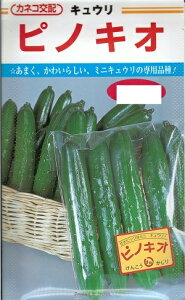 ؎q ~jLEusmLIv@ 19^350ivcjy݁z ӉZ^イ