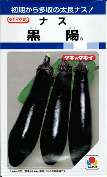楽天市場】野菜種子 太長ナス「黒陽」 60粒／2,000粒（タキイ種苗 