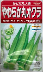 ؎q 炩ۃINu݂ǂۃmv@12mli70{jiTJ^̃^ljy݁z ݂ǂۂ̏ ݂ǂ܂̂ ~h}mXP