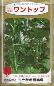 ؎q LEugbvv350iƂ팤j@y݁zӉZ イ  ϐ