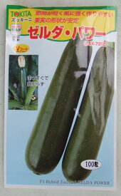 野菜種子 ズッキーニ「ゼルダ・パワー」　100粒（トキタ種苗）　【送料込み】瓜 うり ウリ 多収 高秀品率 耐病性