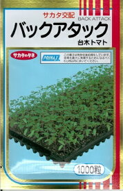 野菜種子　(サカタのタネ)　台木用トマト　　バックアタック　100粒詰　/　500粒詰　/　1000粒詰　【送料込み】