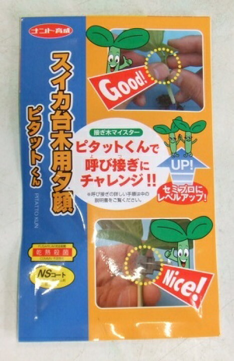 1122円 最大72 Offクーポン トルバム ビガー 台木用ナス 種子 1000粒
