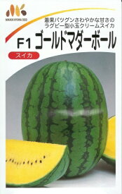 楽天市場 クリームスイカの通販