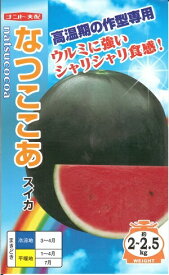 野菜種子 小玉スイカ「なつここあ」　7粒／50粒／200粒（ナント種苗）【送料込み】ナツココア 黒皮赤肉小玉西瓜 すいか スイカ