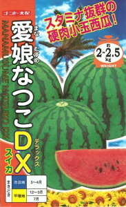 ؎q ʃXCJuȂDXv7^50^200iigcj@y݁z܂Ȃނ߂ȂDX }iXicRfbNX dʐZ ܂