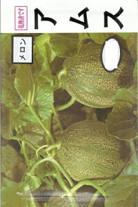 ؎q ΓuAXv@10^30^50^100i|A팤jy݁z ނ [Z }NE ቷʗ A ǂ񂱕aR t H