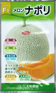 ؎q ui|v@7^100ia_jy݁z