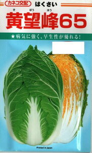 ��؎�q �n�N�T�C�u���]��65�v1ml�i��180���j�^5ml�^10ml�^20ml�i�J�l�R��c�j�y�������݁z ���ڂ��ق�65 �L�{�E�z�E65 ���� �͂����� ���� �ϕa��