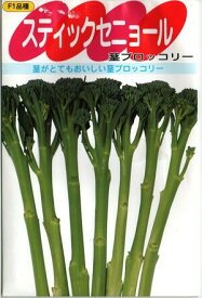 野菜種子 茎ブロッコリー「スティックセニョール」　0.8ml／3ml／5ml／10ml（サカタのタネ）【送料込み】 長期間収穫 多収 アスパラガス風味 耐暑性