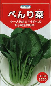 ؎q cPiuׂ؁v@10ml^20ml^50ml^2dli^LCcjy݁z ֗ ׂ xi Ђ  R}ci [ `QTC y N͔|