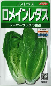 ؎q C^XuRX^Xv@2mliTJ^̃^lj@y݁z `V `V  nNTC ͂ ꂽ