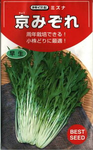 ؎q ~Yiu݂v@5ml^20ml^2dl^ybg300^ybg1,000^ybg5,000i^LCcj@y݁z  ݂ ݂ 傤݂