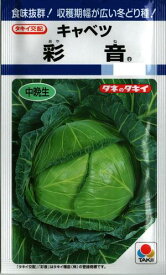 野菜種子 キャベツ「彩音（あやね）」1.2ml（約200粒）／5ml／2,000粒／ペレット150粒／ペレット1,000粒／ペレット5,000粒（タキイ種苗）　【送料込み】