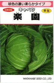野菜種子 キャベツ「楽園（らくえん）」　1.3ml／5ml／10ml／20ml／ペレット5,000粒（渡辺採種場）　【送料込み】 甘藍／きゃべつ