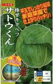 野菜種子　キャベツ　(ナント種苗)　サトウくん　40粒詰 【送料込み】