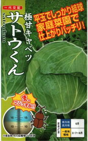 野菜種子 キャベツ「サトウくん」　コ－ト40粒／コ－ト5,000粒（ナント種苗） 【送料込み】 甘藍／きゃべつ