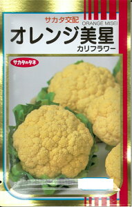 ؎q Jt[uIWv@0.7ml^500^1,000^2,000iTJ^̃^ljy݁z IW~ZC 񂶂݂