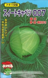 野菜種子 キャベツ「スイートキャベツ007」　1.2ml（約100粒）／20ml／L5,000粒（野原種苗）　【送料込み】
