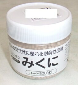 野菜種子 キャベツ「みくに」　 2Lコート5,000粒（カネコ種苗）【送料込み】 甘藍／きゃべつ