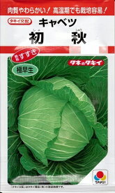 野菜種子 キャベツ「初秋（しょしゅう）」　0.9ml（約110粒）／2,000粒（タキイ種苗）【送料込み】 甘藍／きゃべつ
