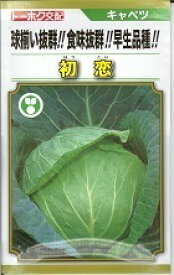 野菜種子 キャベツ「初恋」　1.5ml／3,000粒／ペレット200粒／ペレット5,000粒（トーホク）　【送料込み】