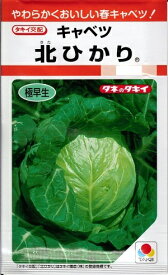 野菜種子 キャベツ「北ひかり（きたひかり）」　0.9ml（約70粒）／1.8ml／2,000粒（タキイ種苗）　【送料込み】 甘藍／きゃべつ