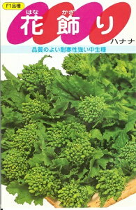 ؎q niiuԏv5mli700j^10ml^20ml^2dliTJ^̃^ljy݁z ͂Ȃ niJU ԍ ͂Ȃ ϊ  Ԏn