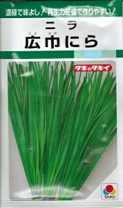 ؎q juLЂɂv@13ml^1dli^LCcj@y݁zЂ͂΂ɂ qnoj Đ͉ Ϗ ϊ