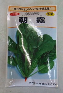 ؎q zE\Euv@1dL^1LinӍ̎jy݁z ATM @@ ق񂻂 zE ق ቷL HE~Et܂ ʍ͔|