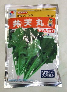 ؎q zE\EuٓVہv@27ml^40ml^1dl^M30,000i^LCcj@y݁z ׂĂ܂ xe} @@ ق zE ق񂻂