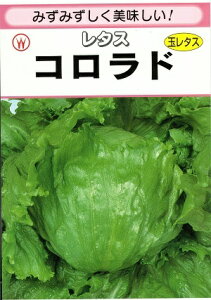 ؎q ^XuRhv@0.9ml^5ml^10ml^20ml^ybg145^ybg5,000inӍ̎j@y݁z ɑ ʈ