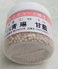 野菜種子　『サカタのタネ』　青琳　甘藍　Lコート5000粒缶入　【送料込み】　農林水産省登録品種　(品種名　SAKCAB001)