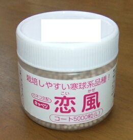 野菜種子 キャベツ「恋風（こいかぜ）」 Lコート5,000粒（カネコ種苗）　【送料込み】