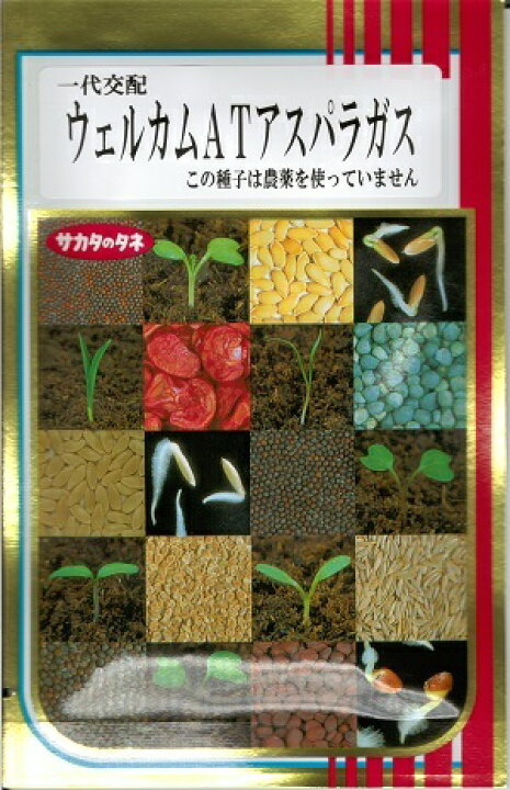 楽天市場】【人気品種】野菜種子 アスパラガス「ウェルカムAT」 100粒